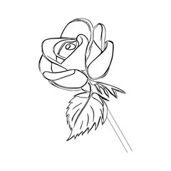 Beautiful Roses Coloring Book line art vector.