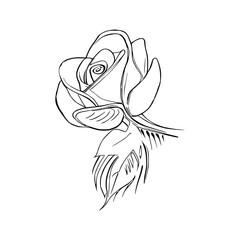 Beautiful Roses Coloring Book line art vector.