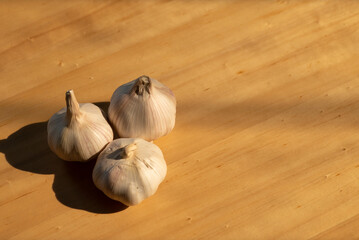 garlic on wooden background