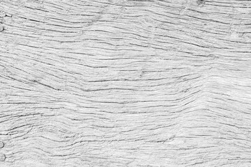 White wood surface natural texture background