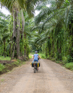 Bikepacking woman cycling on dirt road surrounded by thai jungle
