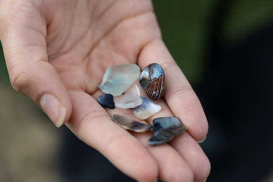 Hand Holding Sea Glass And Seashells