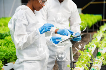 Researcher in white uniform are checking with ph strips in hydroponic farm and pH level scale graphic, science laboratory greenhouse concept.