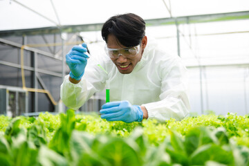 Researcher working and researching in hydro and hydroponic farm,  laboratory greenhouse concept...