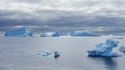 Icebergs in Polar Ocean
