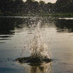 Wasseroberfläche, Spritzer, Steine werfen, See