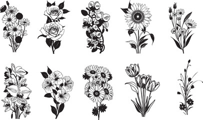 Flowers Rose daisy orchid Vector Set