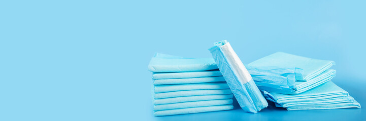 animal diaper, dog absorbent pad banner, pet toilet, urine diaper napkin on blue background © yta