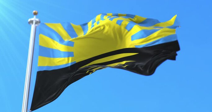 Flag of Donetsk Oblast, Ukraine. Loop
