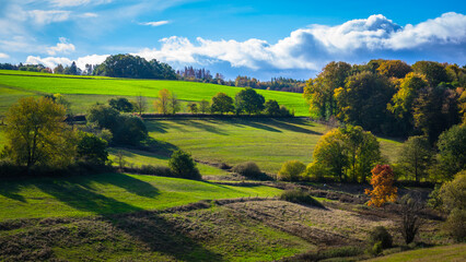 Fototapeta na wymiar landscape with green grass and blue sky
