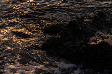 磯に打ち寄せる波と水面に反射する光