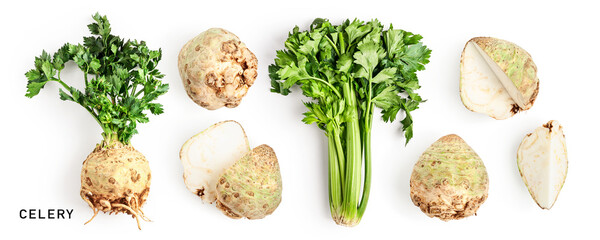 Green celery and celery root with leaves set isolated on white background.