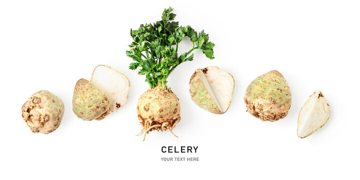 Celery root with leaves collection isolated on white background.