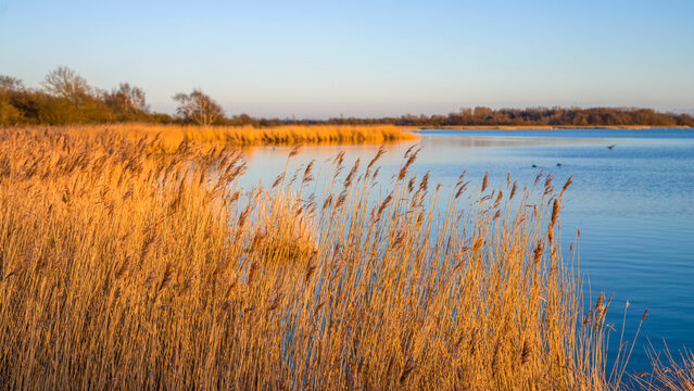 Wieker Bodden - Insel R&uuml;gen Vorpommern