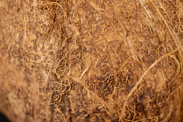 a close-up of a brown coconut shell, close-up