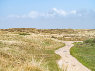 Path going through Danish grassy dune landscape on west coast of Denmark on the island of Fanø