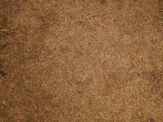 texture of earth