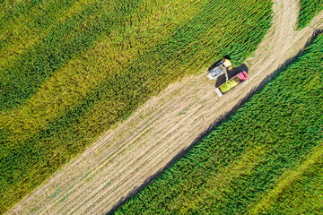 Aerial photography of harvester harvesting corn in Hohhot, Inner Mongolia