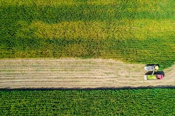Aerial photography of harvester harvesting corn in Hohhot, Inner Mongolia