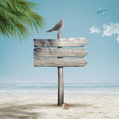 Seagull on a wooden signpost on the beach