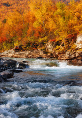 Flowing water in autumn. Abisko national park in north of Sweden.