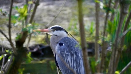 a sunny day at the zoo