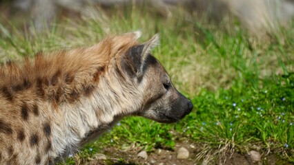 a sunny day at the zoo