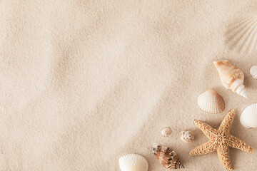 Top view of a sandy beach with collection of exotic seashells and starfish as natural textured background