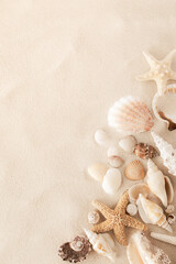 Top view of a sandy beach with collection of seashells and starfish as natural textured background for aesthetic summer design - 593195189