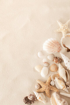 Top view of a sandy beach with collection of seashells and starfish as natural textured background for aesthetic summer design
