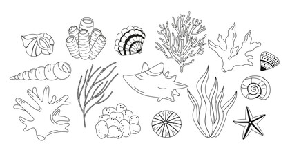 Set of Underwater coral reef and seashells black contour isolated on white background. Marine undersea Thin line elements. Under water flora and fauna for coloring. Flat vector illustration