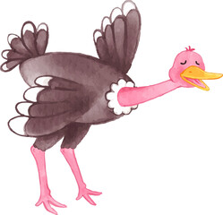 Ostrich . Watercolor cartoon character .