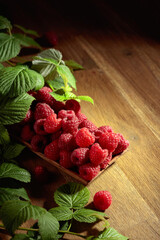 Ripe juicy raspberries with leaves.