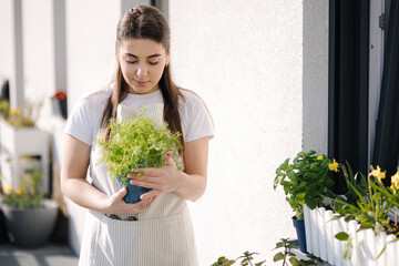 Beautiful woman in light striped overalls replanting dill at terrace outdoor. Young female resting after work