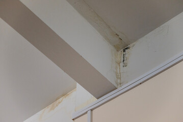Flooding rainwater, causing damage, peeling paint and mildew.