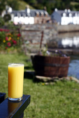 Orange juice glass in beer garden - Plockton - Highlands - Scotland - UK