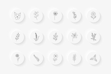 Story highlight cover set. Hand drawn floral botanical icons for social media.
