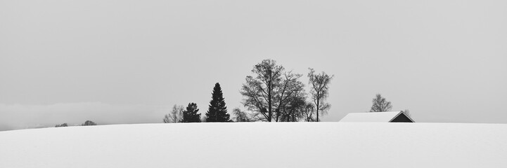 A misty morning on the countryside, Toten, Norway, in spring.