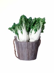 Vertical closeup shot of wooden bucket with fresh green bok choy vegetable
