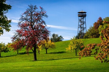 Observation tower on green hill surrounded by colorful trees under blue sky in Lossburg, Germany