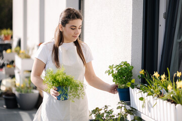 Attractive young female creating garden at balcony. Woman hold pot with dill and basil. Starting...