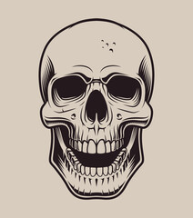 Vector illustration skull on a light background 