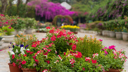 Fototapeta na wymiar Lodhi Garden located in New Delhi India, also known as Lodi Garden