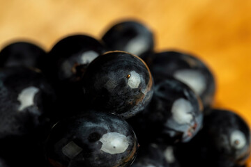 Wet black and blue grapes on the table