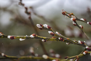 Close-ups on the base in the winter atmosphere