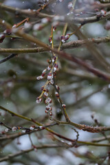 Close-ups on the base in the winter atmosphere