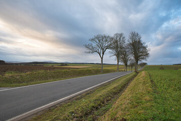 Fototapeta premium Herbstliche Landschaft mit Straße