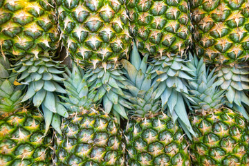 Lot of pineapples stacked in row exotic tropical fruits are laid out in showcase of market. Bright juicy background of pineapples, patterns, ripples in eyes. Plantation storage of ananas crop