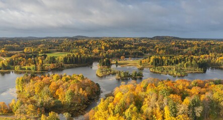 Fototapeta premium Aerial of the beautiful lake surrounded by the colorful forest on a gloomy autumn day in Estonia