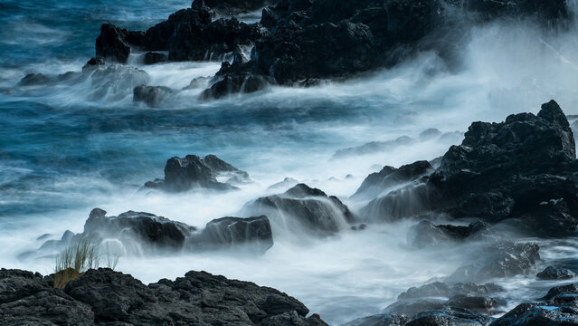 Tidal Coast